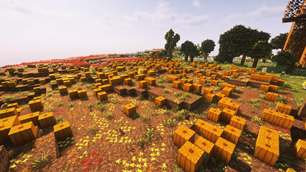 Pumpkin Field.png