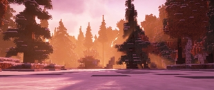 A Snowy Morning