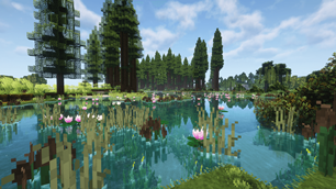 Swamp.png