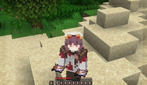 mc mini23.jpg