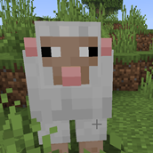 sheep pack icon.png