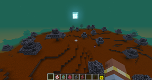 fox forest