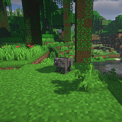 koala_2.png