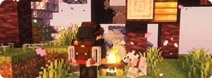 supporter-star.png