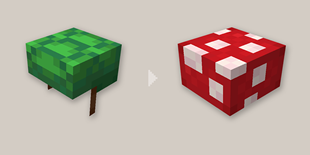 fungi2.png