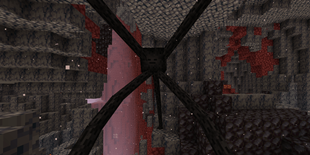 2026-02-15_15.48.57_2.png