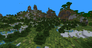 Lush Forest