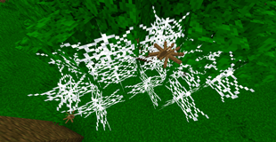 tree web