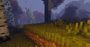 Just a forest