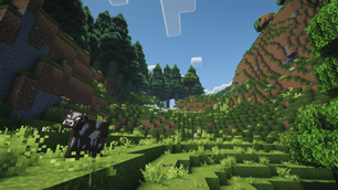 image_5.png