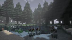 image_7.png