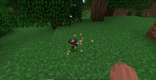 modpack_gallery_small_image_new.jpeg