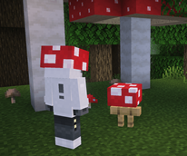 fungi3.png