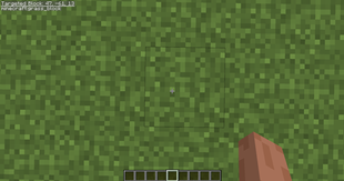 f3 screen with targeted block