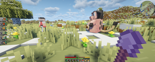 Ingame Silly view