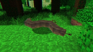 big snake.jpg