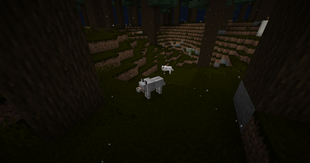 biome4.png