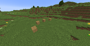 Wood Planks Trail