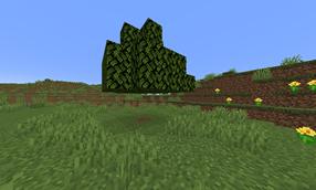 Floating Tree