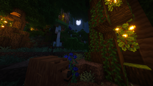 Oh The Biomes We've Gone: Forgotten Forest