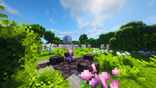 Oh The Biomes We've Gone: Allium Shrubland + Etheria