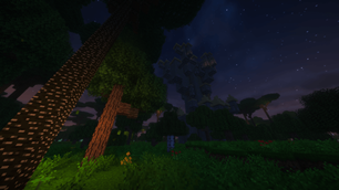 The Twilight Forest + Lich Tower