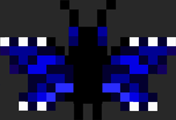 Variant 14