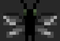 Variant 16