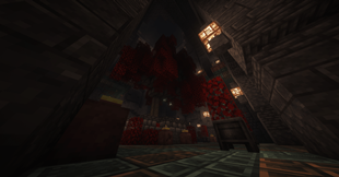 Screenshot 2026-02-17 155641.png
