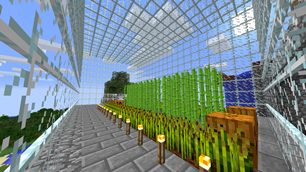 Manly garden