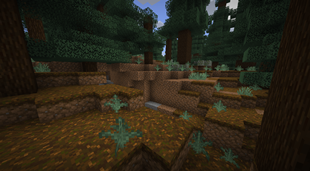 Taiga Biome