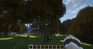 embeddium-dt-shaders.gif