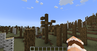 vanilla-embeddium.png