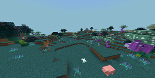Odd island