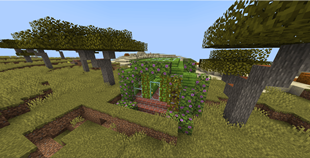 greenhouse