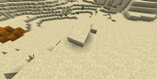 Rare_sand_patch