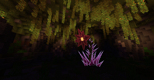 Void Blossom's Cave
