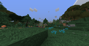 A quaint little forest...