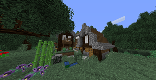 A small spruce village house..