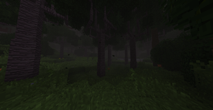 A rainforest... with nothing wrong at all..