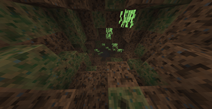 The entrance  of a jungle myrmex colony...