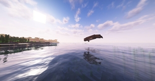 Bottlenose whale