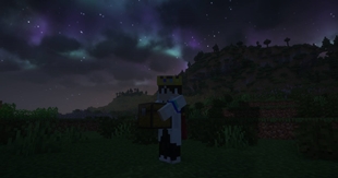Entity carrying