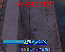 Wherepetss.png