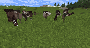 random mobs