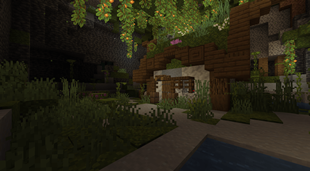 Mossy Shelter