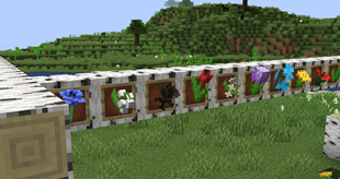 stick m in an item frame