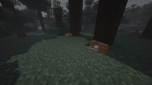 SleepingFoxes