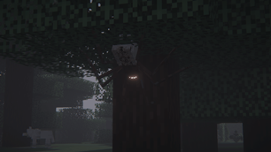 ZoomedSpider