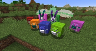 More Wool Variations